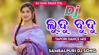 Hey Ludu Budu Dj Song | Sambalpuri Dj Song Odia Dj Song | Dj Hari Remix Dsl