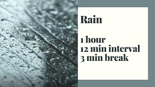 Harmonious rain white noise for studying, 1 hour long session/ 12 min intervals/ 3 min break