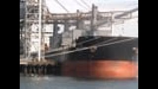 Soybean Exports Look Promising for 2020-21