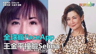 全球瘋FaceApp　王金平撞臉Selina！｜三立新聞網SETN.com
