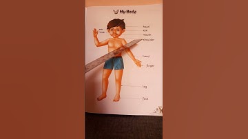 Parts of the body for kids for Nursery, Jr K.G and Sr K.G| Environmental Studies