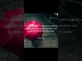 Frases Marcantes do Livro A Menina Que Roubava Livros