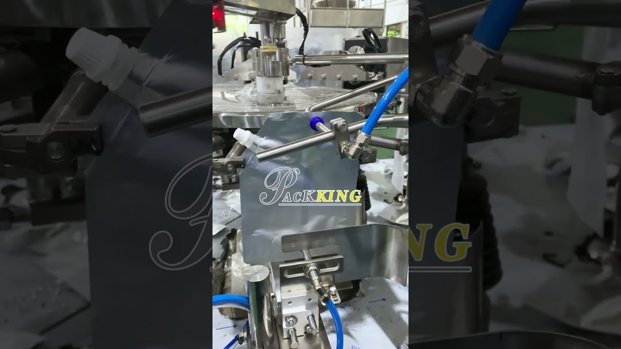 Rotary pre-made packer for spout bag filling machine. 