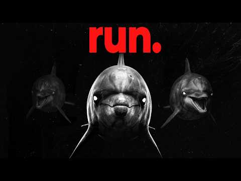 Why The Entire Ocean is Terrified of Dolphins