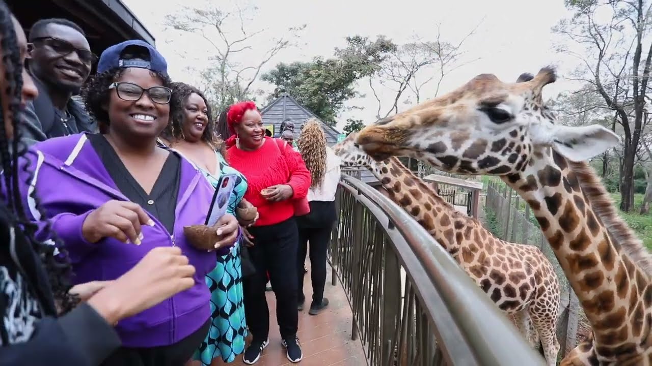 African Tour - Day 1 & 2 Nairobi, Kenya