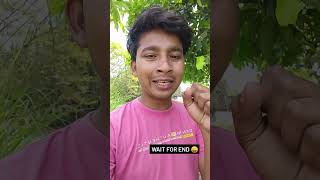 BSDK chicha 😂😂 wait for reply #andhbhakto