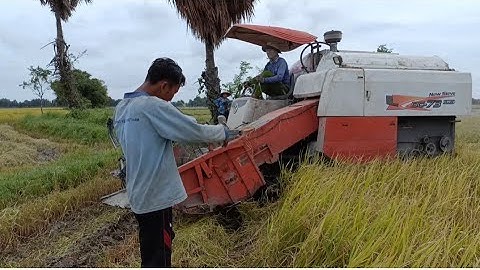 máy cắt 60 binh độ 70 bánh 9 chạy cắt lúa rất nhanh tập2 #maibangtv