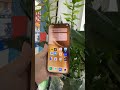 Vivo X300 Pro is a TOTAL Game Changer
