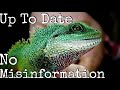 Chinese Water Dragon Care Guide 2020