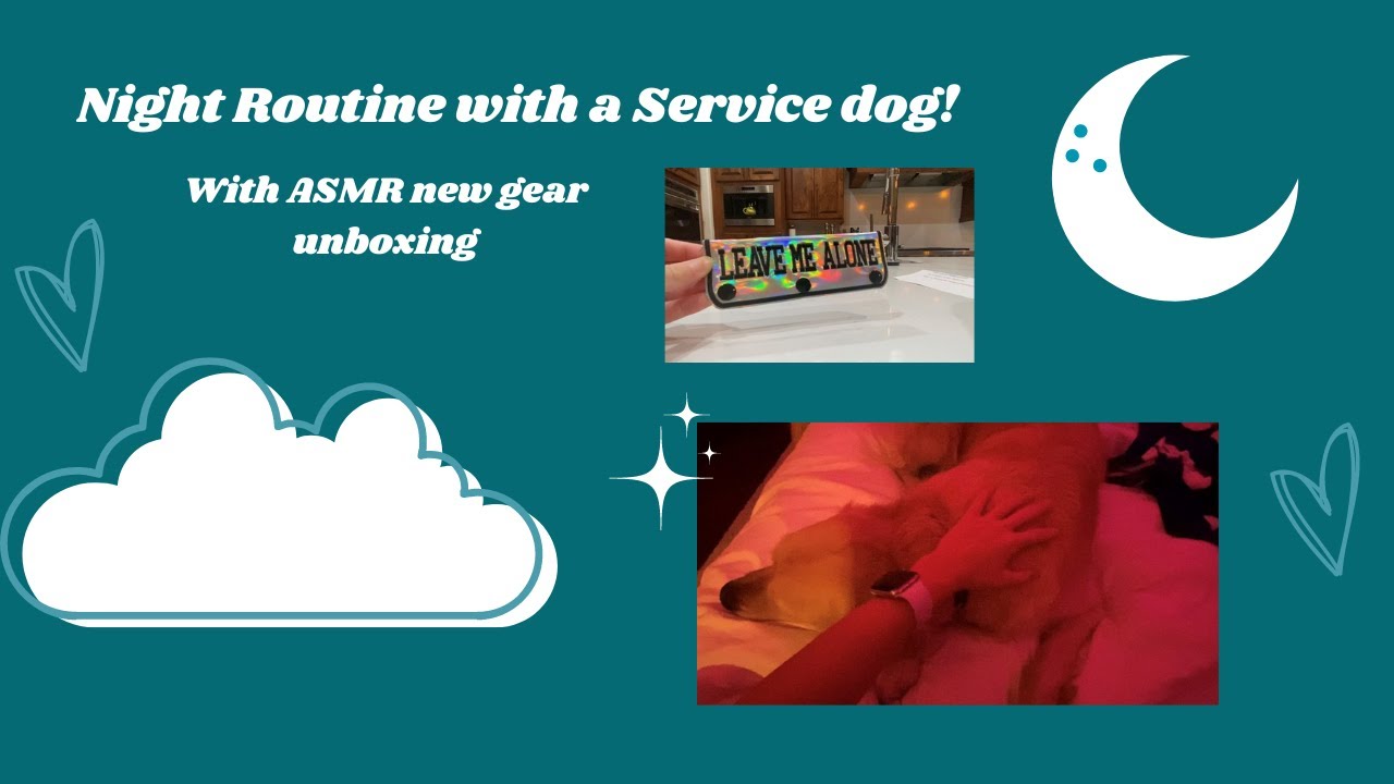 🌙Nighttime Routine with a Service dog🌙(New gear unboxing) YouTube
