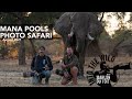 Safari Highlights from Mana Pools