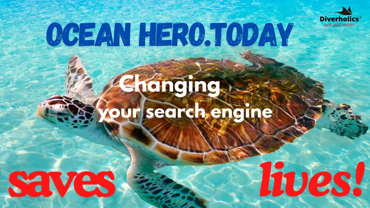 Ocean Hero Today