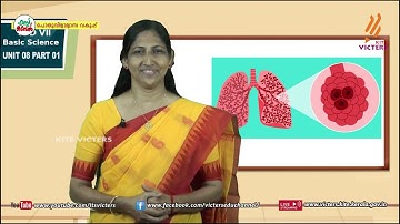 KITE VICTERS STD 07 Basic Science Class 33 (First Bell-ഫസ്റ്റ് ബെല്‍)