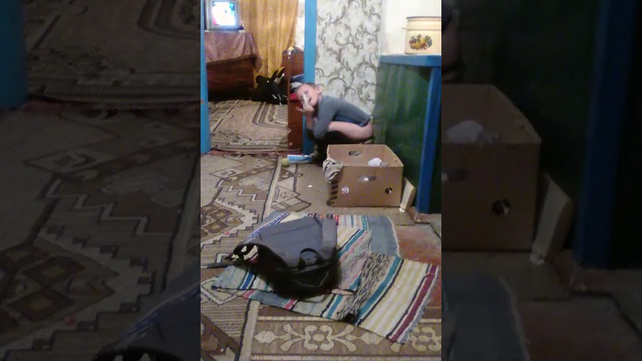 Голубь срет на машину