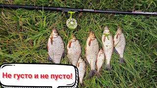 видео: Ловля густеры! Голавль ушёл в отказ! Рыбалка на классическую полудонку! картинка: Ловля густеры! Голавль ушёл в отказ! Рыбалка на классическую полудонку!