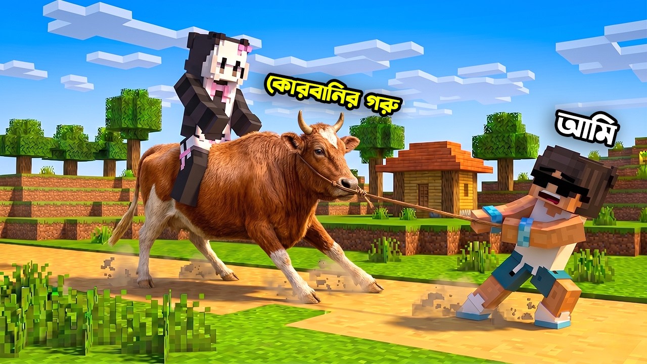 Satu and Setu কুরবানীর গরু কিনলো !!😅