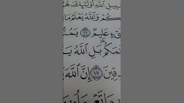 ماتيسرمن سورة الحجرات فضيلة القارئ الشيخ وائل ناصر سعد