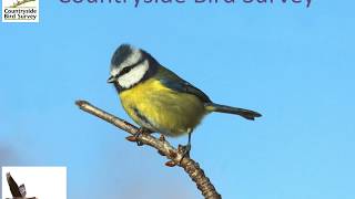 Countryside Bird Survey (CBS) training by BirdWatchIreland 1,529 views 1 year ago 1 hour, 22 minutes