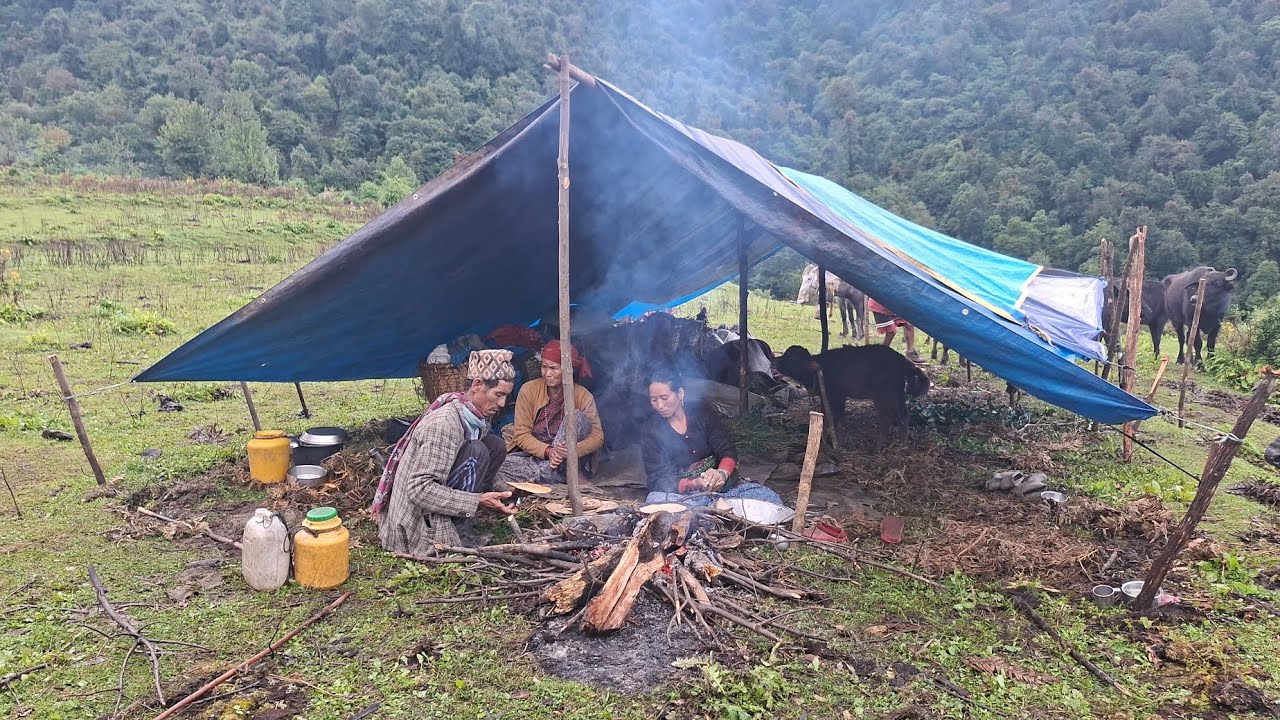 Best Life in A Himalayan Shepherd’s During The Rainy Day | Most Relaxing | Village Documentary Video