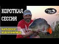 Марьевское водохранилище - короткая сессия. Карпфишинг осенью.