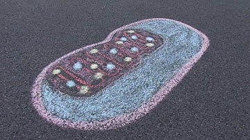 "Genetics", Cytoplasmic Inheritance and Extra-Nuclear Genomes