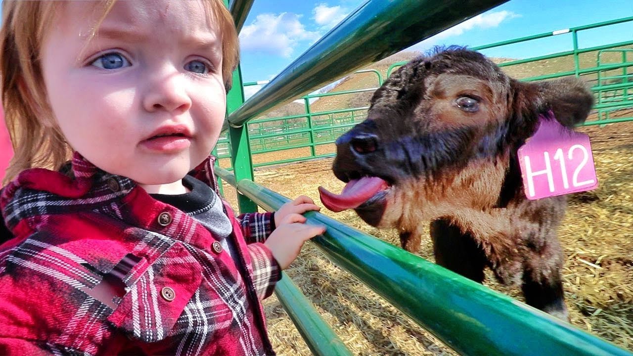 KiDS learn to feed FARM ANIMALS!! taking care of pets, Niko rides a baby horse, pretend vet Adley! KiDS learn to feed FARM ANIMALS!! taking care of pets, Niko rides a baby horse, pretend vet Adley!