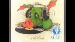 Slapi-Momentalnintro