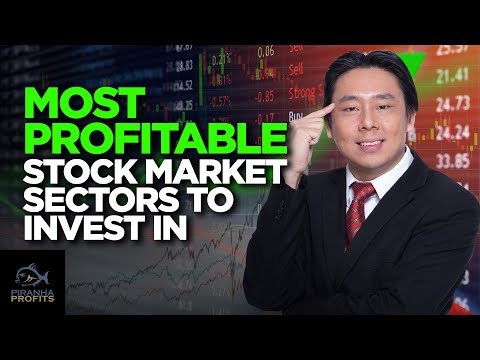 Video: Which Stocks Are The Most Profitable To Buy