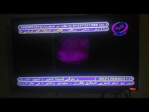 دبكة جديدة سواحلي  قناة غنوة تردد  أفقي