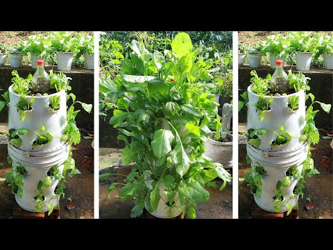 [No Garden] Just 2 Paint Bucket You Will Have A Tower Of Spinach