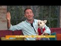 Paul's appearance on "Ireland AM", @Virgin Media Television with his little dog Bradley