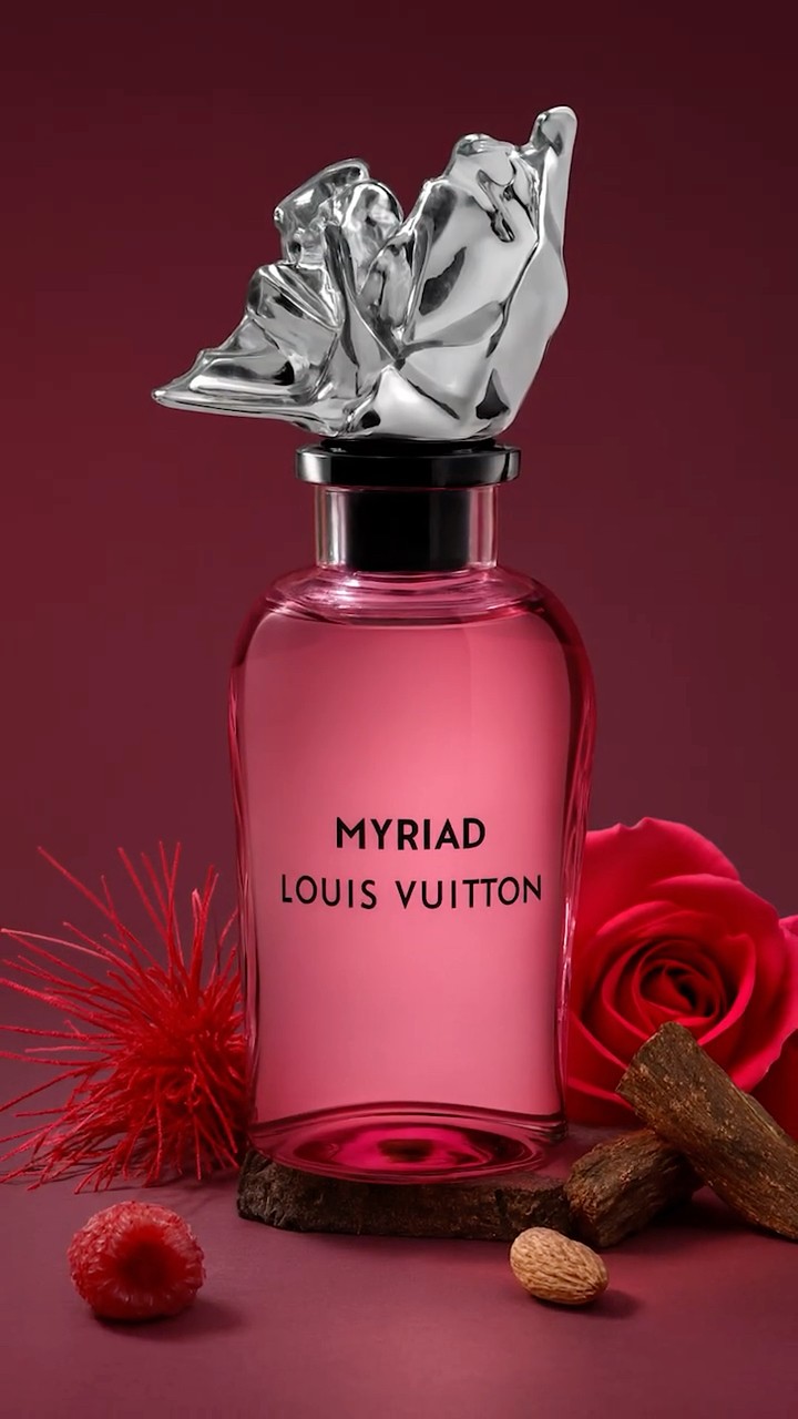Louis Vuitton's Symphony & Myriad | Are they worth the pricetag