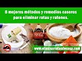 Cómo eliminar ratas y ratones: 8 mejores métodos y remedios caseros