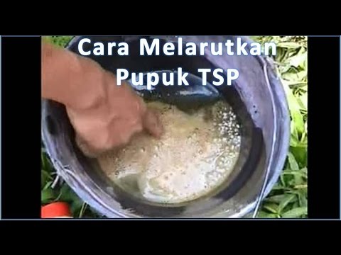 cara penggunaan supernasa pupuk organik padat doovi cara penggunaan supernasa pupuk organik padat doovi