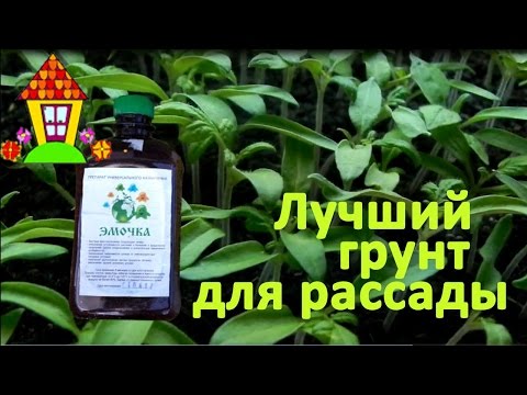 Лучший грунт для рассады. Делаем сами.