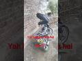Open challenge Koi kar sakta hai to batana 👆 #minivlog #hardworkworks #raatke1bajekiyakhanapack