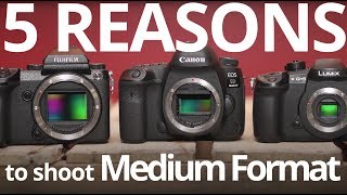 5 Reasons to shoot Medium Format!  