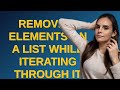 Codereview: Removing elements on a List while iterating through it