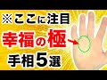 【手相】１０万人に１人の幸せを超えた超幸福！幸福の極み手相５選【超ハッピーW線】