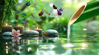 Relaxing Zen Music - Study Music, Meditation Music Nature Sounds, Bamboo Music