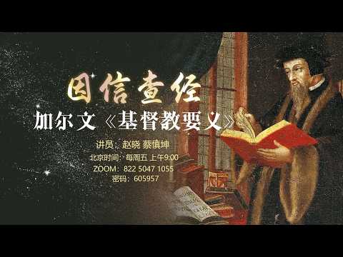 赵晓的经济学视界- YouTube