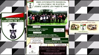 Cto. Regional de Cantabria de perros de rastro sin muerte sobre liebre