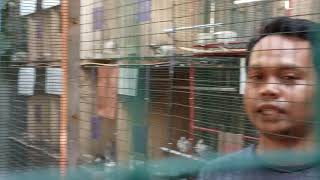 Derkuku Blorok Silver Prospeknya Cerah