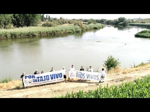 Así llegan las aguas contaminadas de Madrid al río Tajo