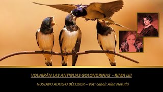 Rima LIII ❤ Volverán Las Antiguas Golondrinas ❤  G. A. Bécquer 🎧 Voz Aína Neruda