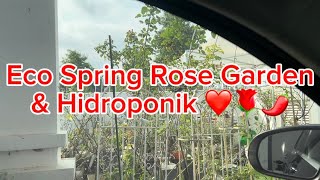 Eco Spring Rose Garden & Greenhouse Hidroponik @NHH TR&CY
