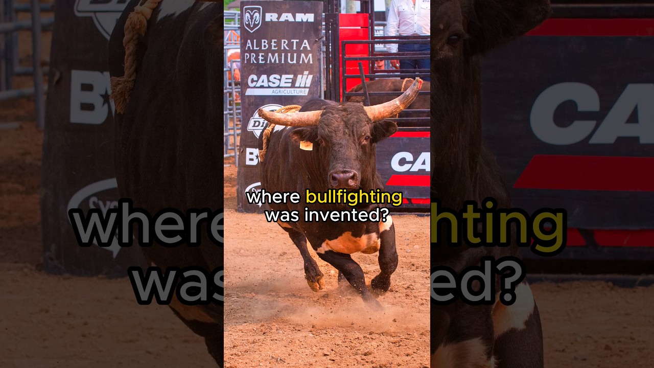 One of the top 100 places to visit in Europe | The birthplace of modern bullfighting 