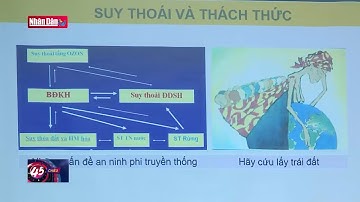Bảo vệ môi trường hướng tới phát triển bền vững