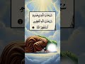 fajar Ki Namaz Ke baad ki dua 🤲 #islamicdua #fajarkawazifa #dua #fajar #wazifa #islamic #shorts