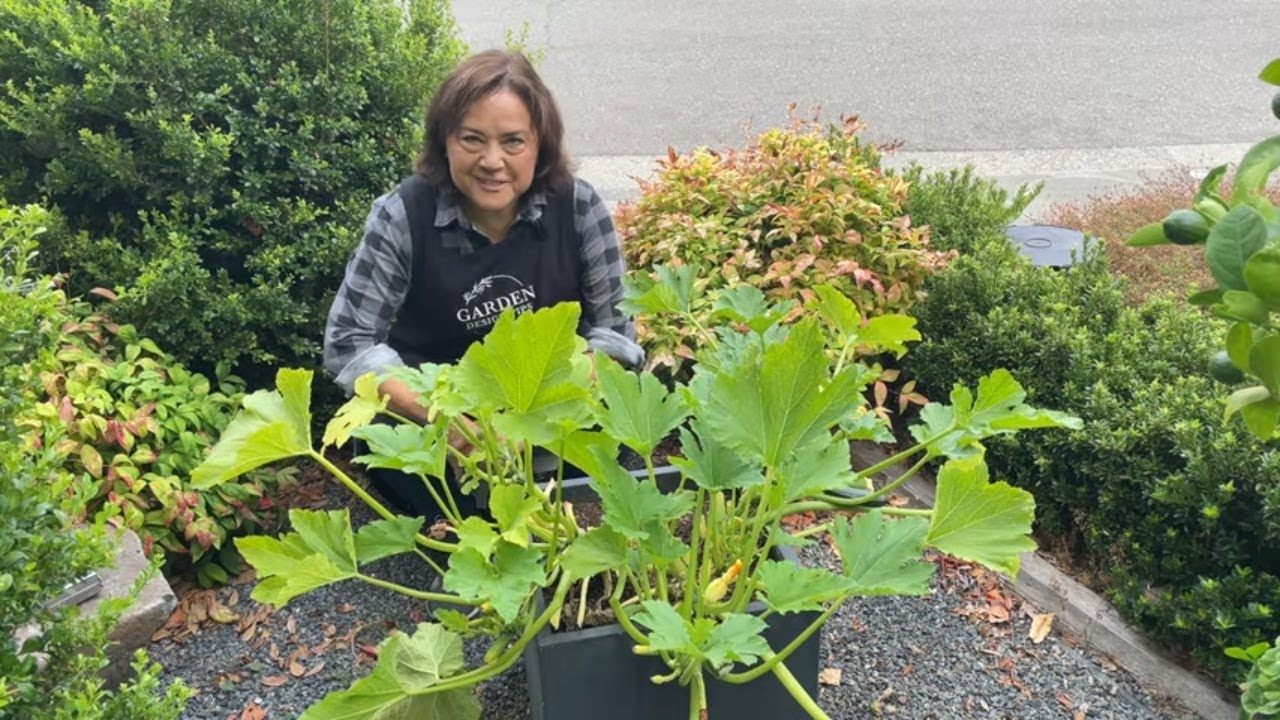 Маленький передний двор, большой урожай: мои лучшие советы по съедобному ландшафтному дизайну
